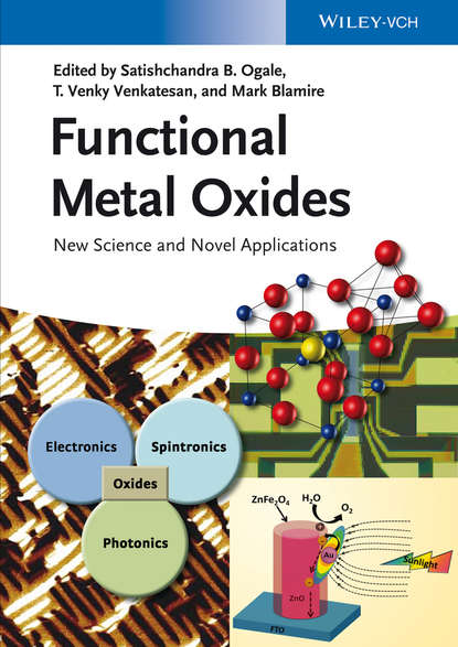 Группа авторов — Functional Metal Oxides