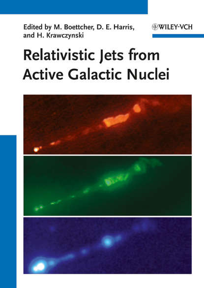 Группа авторов — Relativistic Jets from Active Galactic Nuclei