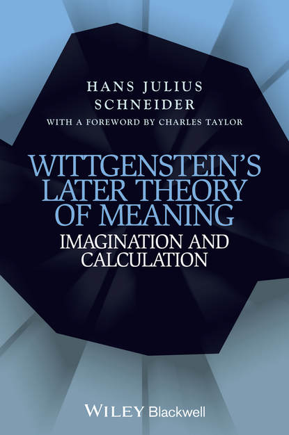 Hans Schneider Julius — Wittgenstein's Later Theory of Meaning. Imagination and Calculation