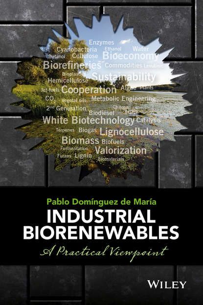 Pablo Dom?nguez de Mar?a — Industrial Biorenewables