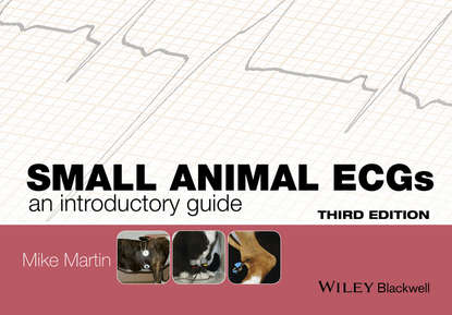 Mike Martin — Small Animal ECGs