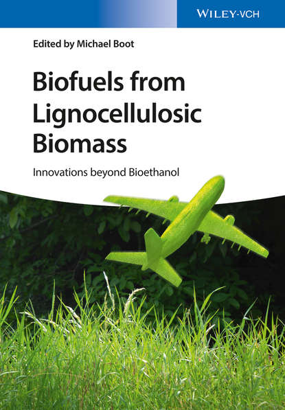 Michael Boot — Biofuels from Lignocellulosic Biomass