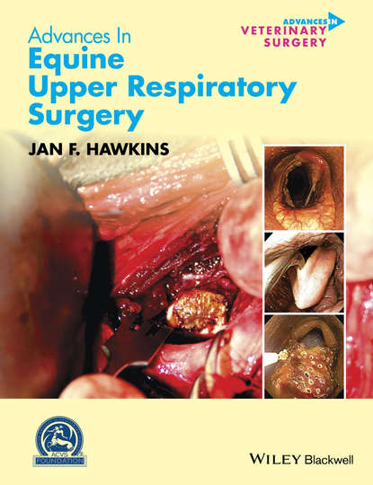 Группа авторов — Advances in Equine Upper Respiratory Surgery