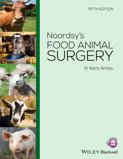 N. Kent Ames — Noordsy's Food Animal Surgery