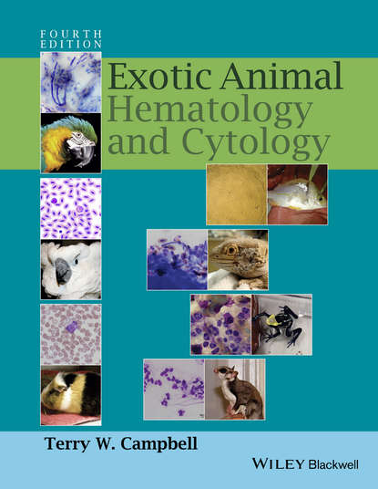 Terry W. Campbell — Exotic Animal Hematology and Cytology