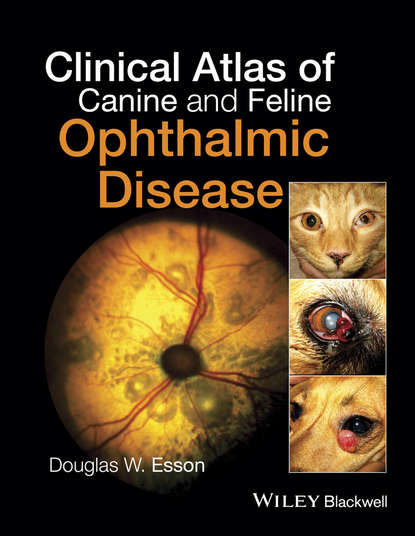 

Clinical Atlas of Canine and Feline Ophthalmic Disease