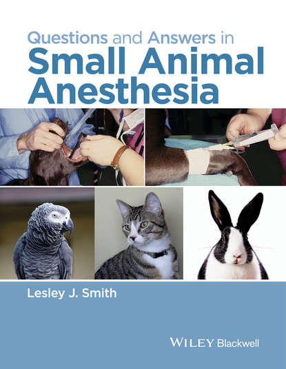 Группа авторов — Questions and Answers in Small Animal Anesthesia