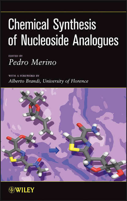 Группа авторов — Chemical Synthesis of Nucleoside Analogues