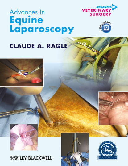 Группа авторов — Advances in Equine Laparoscopy