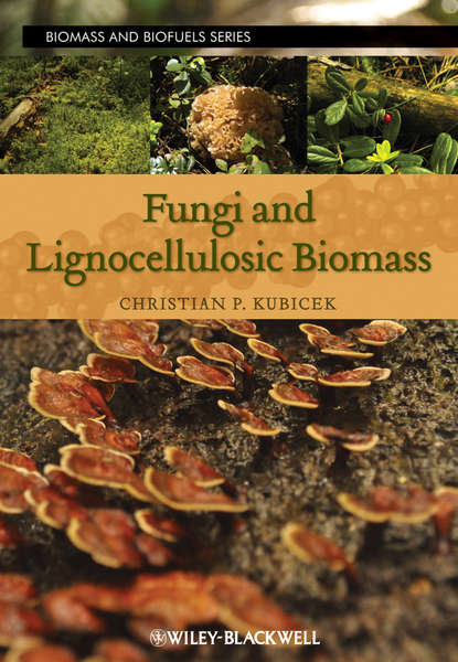 Группа авторов — Fungi and Lignocellulosic Biomass