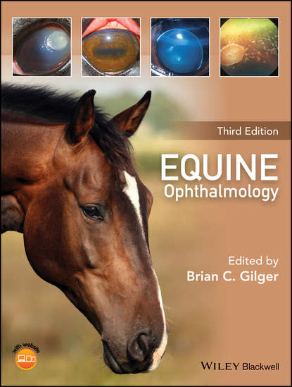 Группа авторов — Equine Ophthalmology