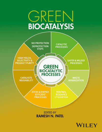 Группа авторов — Green Biocatalysis