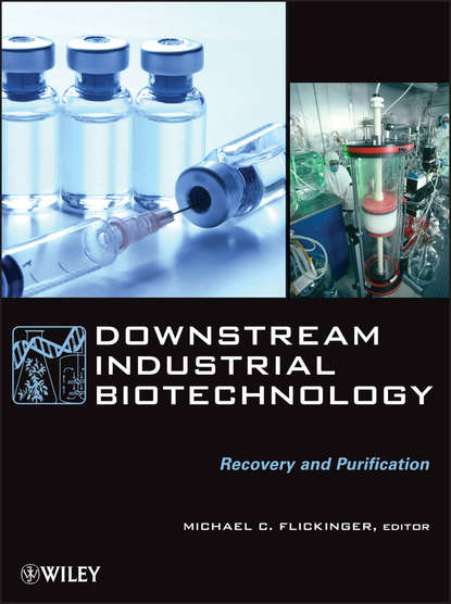 Группа авторов — Downstream Industrial Biotechnology