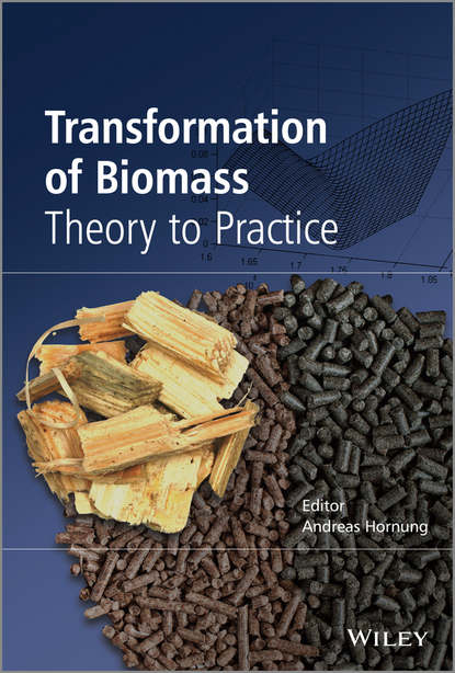 Andreas Hornung — Transformation of Biomass