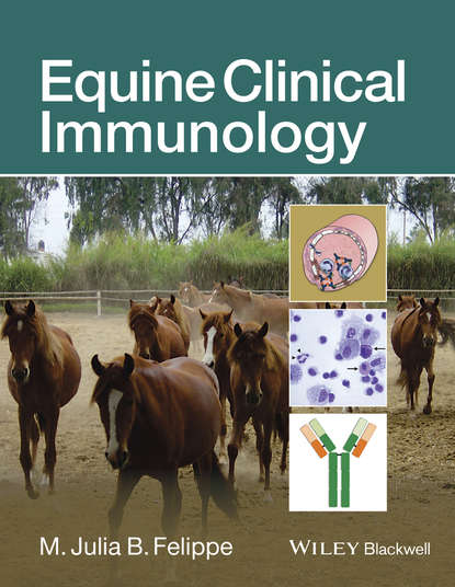 Группа авторов — Equine Clinical Immunology