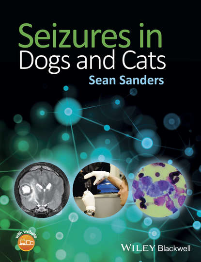 Sean Sanders — Seizures in Dogs and Cats