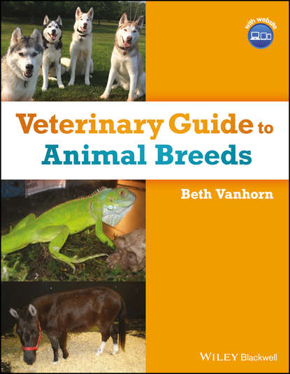 Beth Vanhorn — Veterinary Guide to Animal Breeds