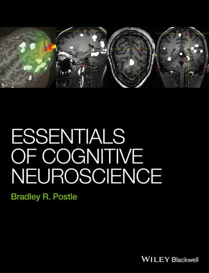 Bradley R. Postle — Essentials of Cognitive Neuroscience