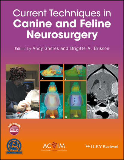 Группа авторов — Current Techniques in Canine and Feline Neurosurgery