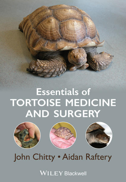 John Chitty — Essentials of Tortoise Medicine and Surgery