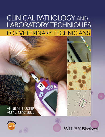 Группа авторов — Clinical Pathology and Laboratory Techniques for Veterinary Technicians