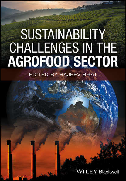 Группа авторов — Sustainability Challenges in the Agrofood Sector