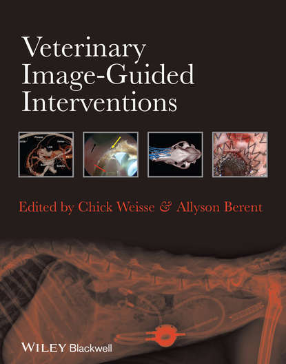 Группа авторов — Veterinary Image-Guided Interventions