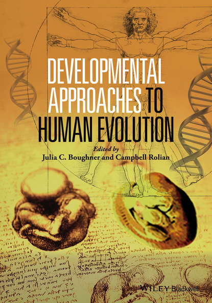 Группа авторов — Developmental Approaches to Human Evolution