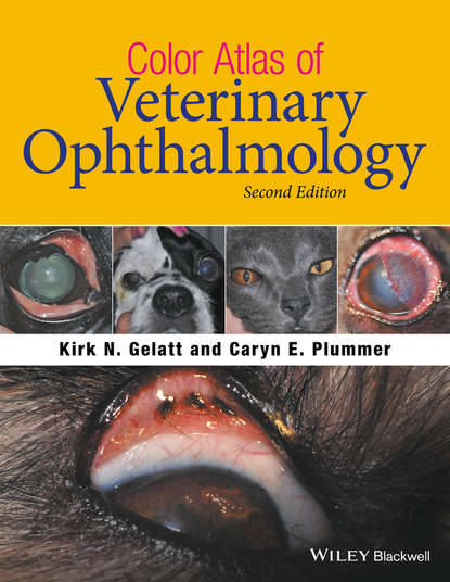 Kirk N. Gelatt — Color Atlas of Veterinary Ophthalmology