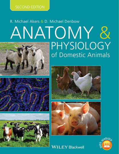 R. Michael Akers — Anatomy and Physiology of Domestic Animals