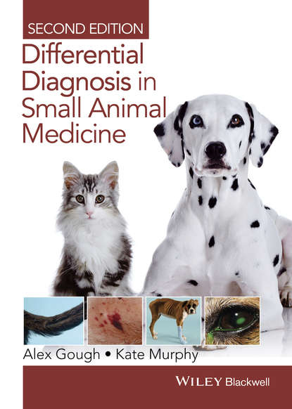 Kate Murphy — Differential Diagnosis in Small Animal Medicine