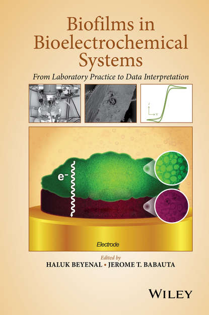 Haluk Beyenal — Biofilms in Bioelectrochemical Systems