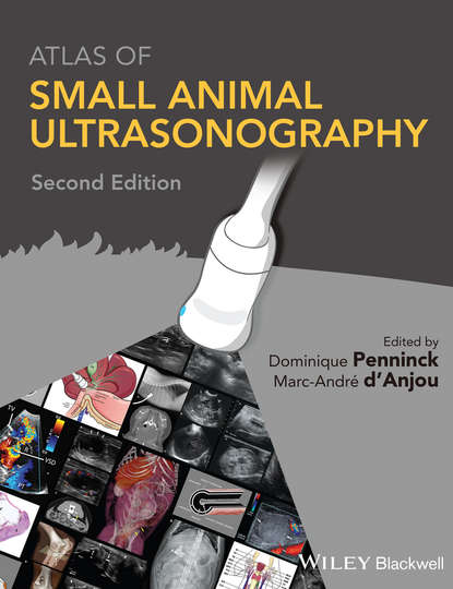 Группа авторов — Atlas of Small Animal Ultrasonography