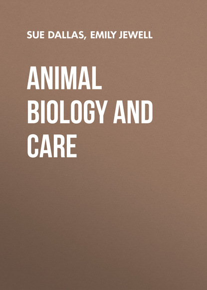 Sue Dallas — Animal Biology and Care