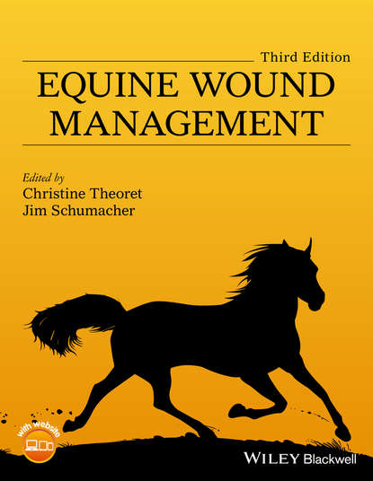 Группа авторов — Equine Wound Management