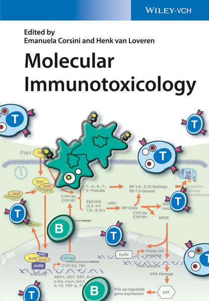 Группа авторов — Molecular Immunotoxicology