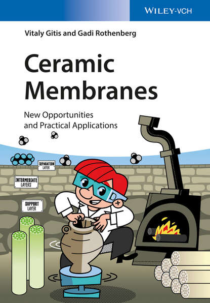 Vitaly Gitis — Ceramic Membranes