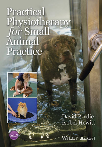 David Prydie — Practical Physiotherapy for Small Animal Practice