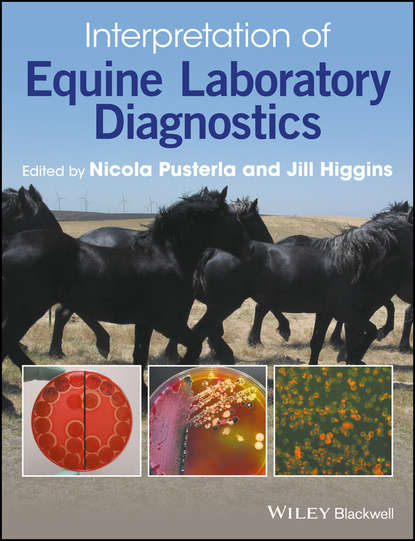 Группа авторов — Interpretation of Equine Laboratory Diagnostics