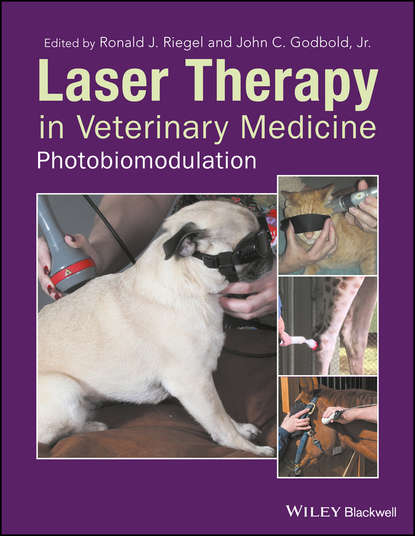 Группа авторов — Laser Therapy in Veterinary Medicine