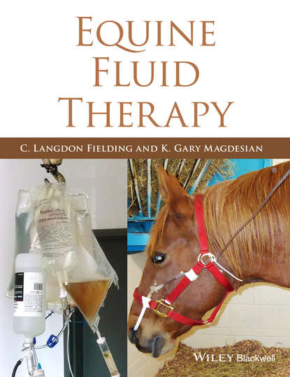 Группа авторов — Equine Fluid Therapy