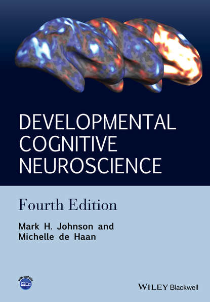 Mark H. Johnson — Developmental Cognitive Neuroscience