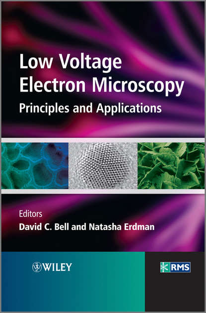 Группа авторов — Low Voltage Electron Microscopy