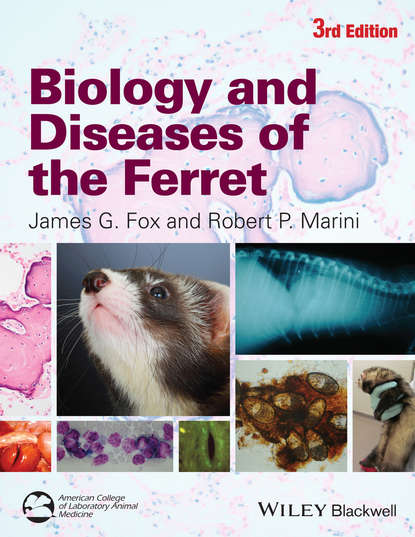 Группа авторов — Biology and Diseases of the Ferret