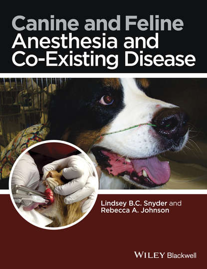 Группа авторов — Canine and Feline Anesthesia and Co-Existing Disease