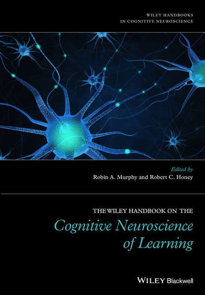 Группа авторов — The Wiley Handbook on the Cognitive Neuroscience of Learning