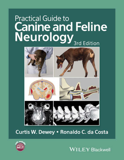 Группа авторов — Practical Guide to Canine and Feline Neurology