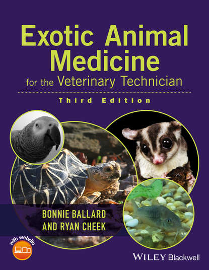 Группа авторов — Exotic Animal Medicine for the Veterinary Technician