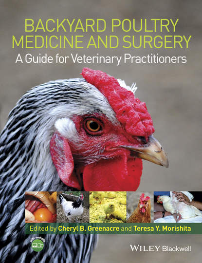 Группа авторов — Backyard Poultry Medicine and Surgery