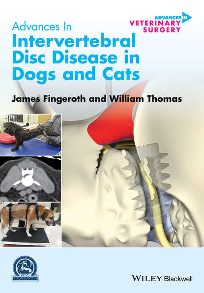 Группа авторов — Advances in Intervertebral Disc Disease in Dogs and Cats